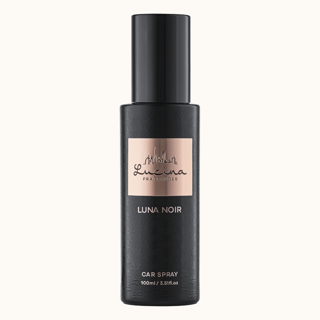 CAR SPRAY 100 ML