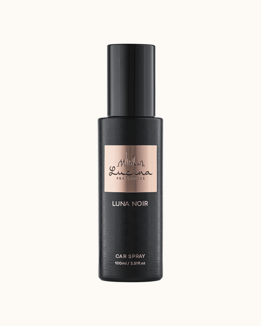 CAR SPRAY 100 ML
