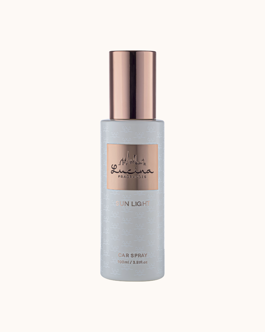 CAR SPRAY 100 ML