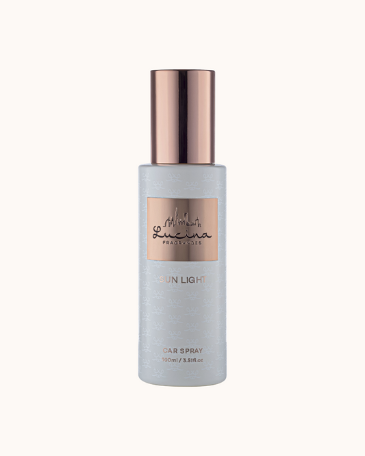 CAR SPRAY 100 ML
